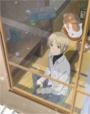 夏目友人帳 いつかゆきのひに.jpg